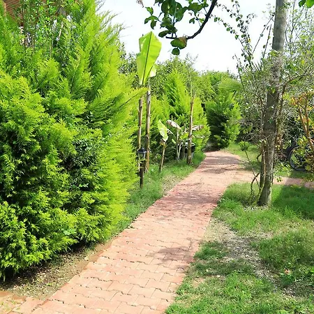 Zeytin